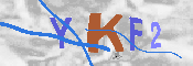 Kontrolní text