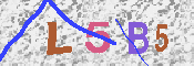 Kontrolní text