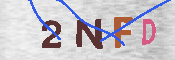 Kontrolní text